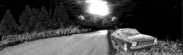 pineforestpanoramicheader50-600x183.jpg